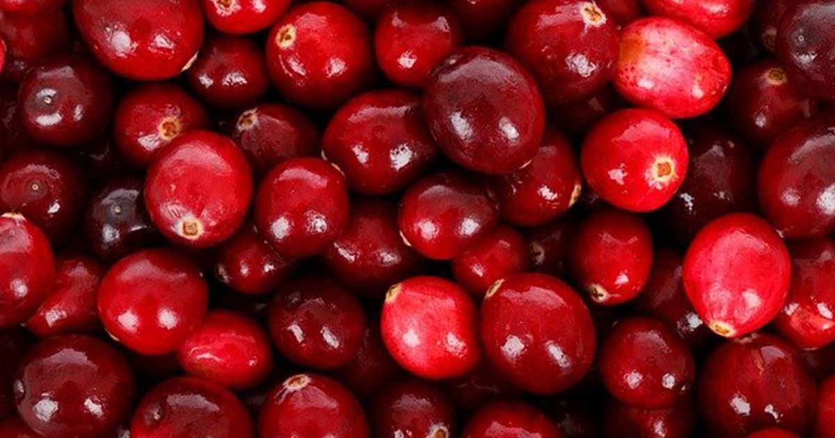 ¿Te gustan los arándanos?
