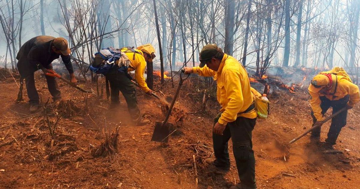 Control del 80% en incendio forestal al norte de Cuernavaca