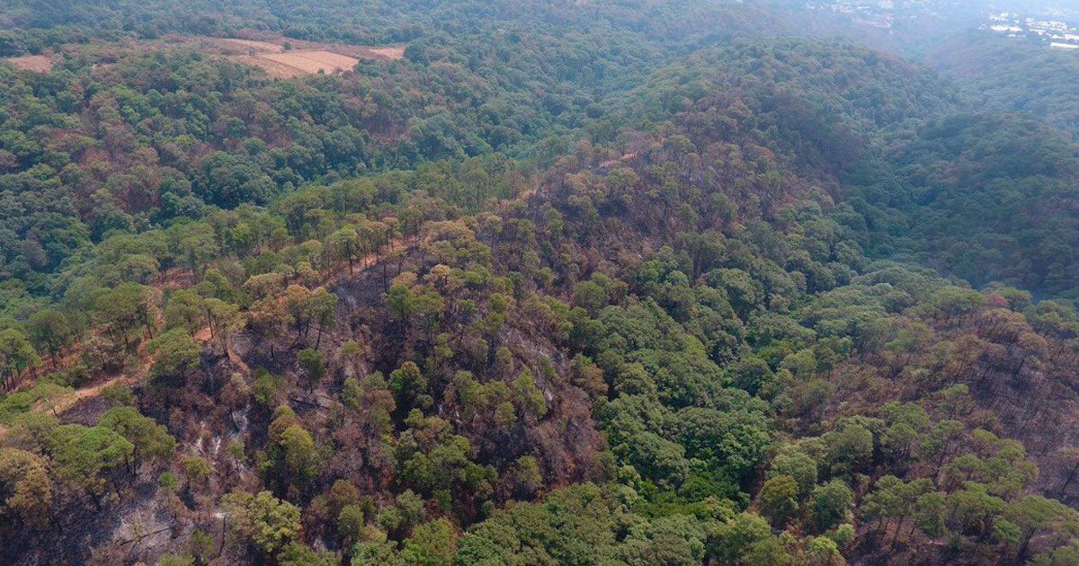 Liquidado incendio forestal registrado al norte de Cuernavaca