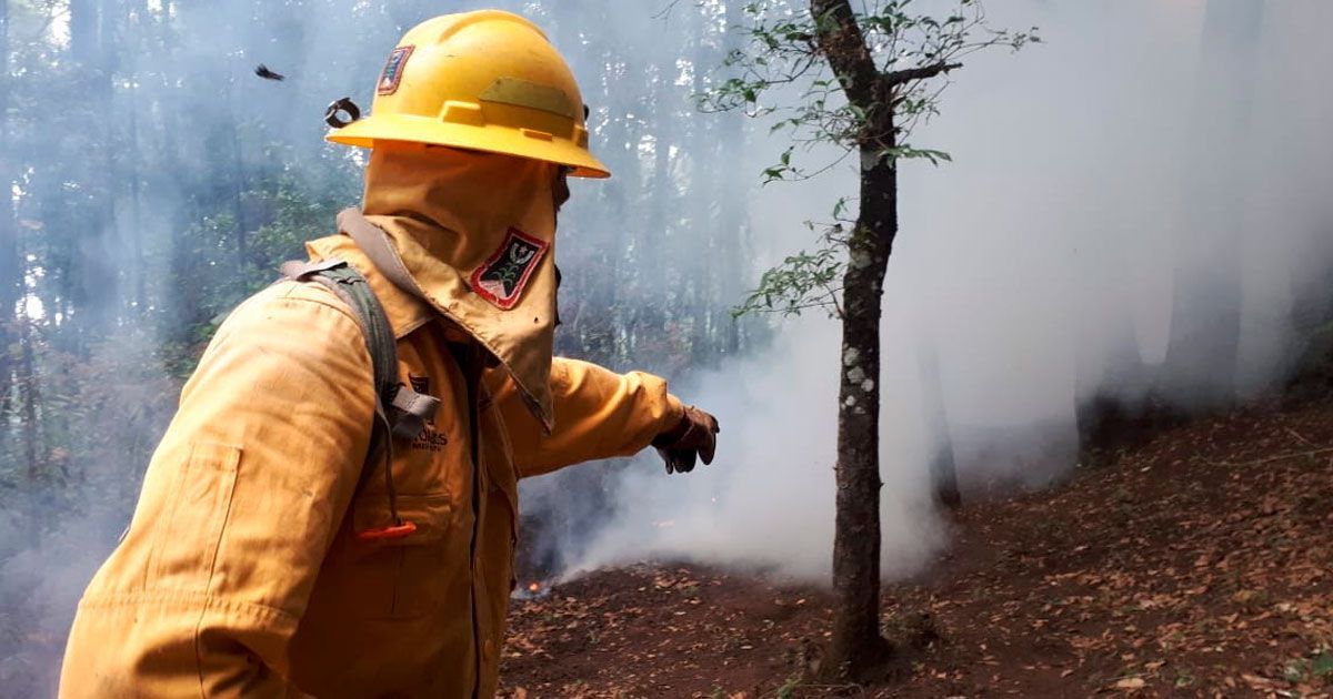 Más de 2 mil hectáreas afectadas por incendios forestales en Morelos