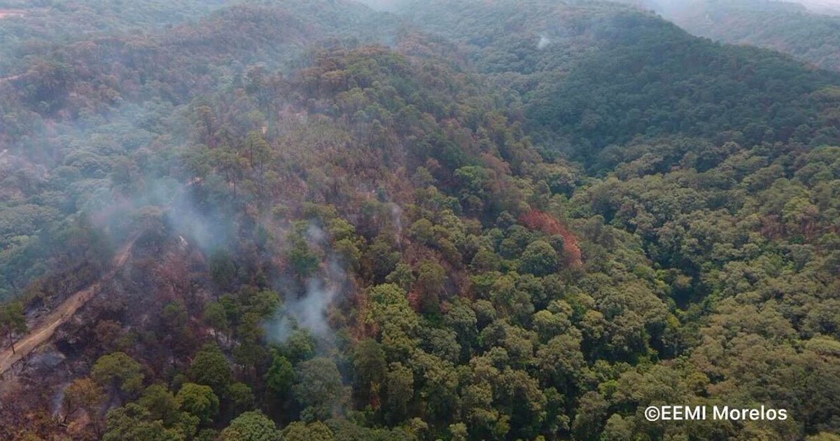Casi liquidado incendio forestal registrado al norte de Cuernavaca