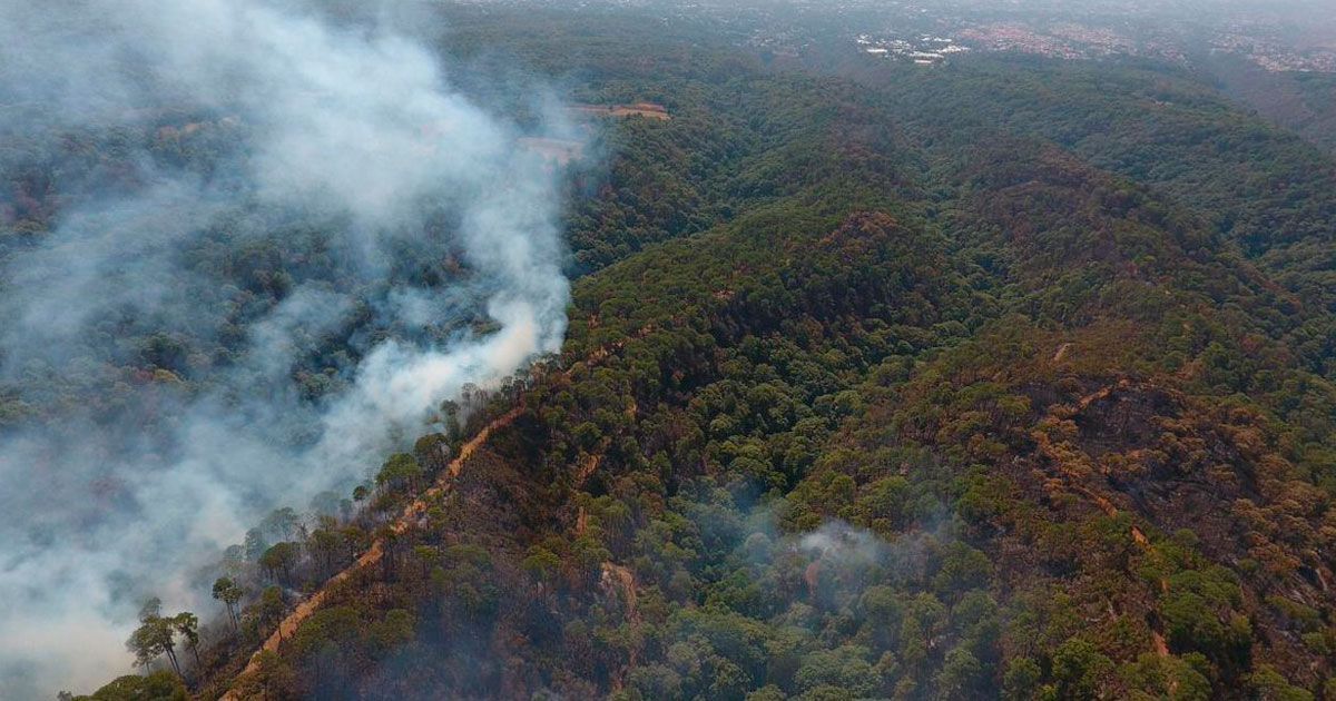 Continúa combate de incendio forestal en Santa María de Cuernavaca