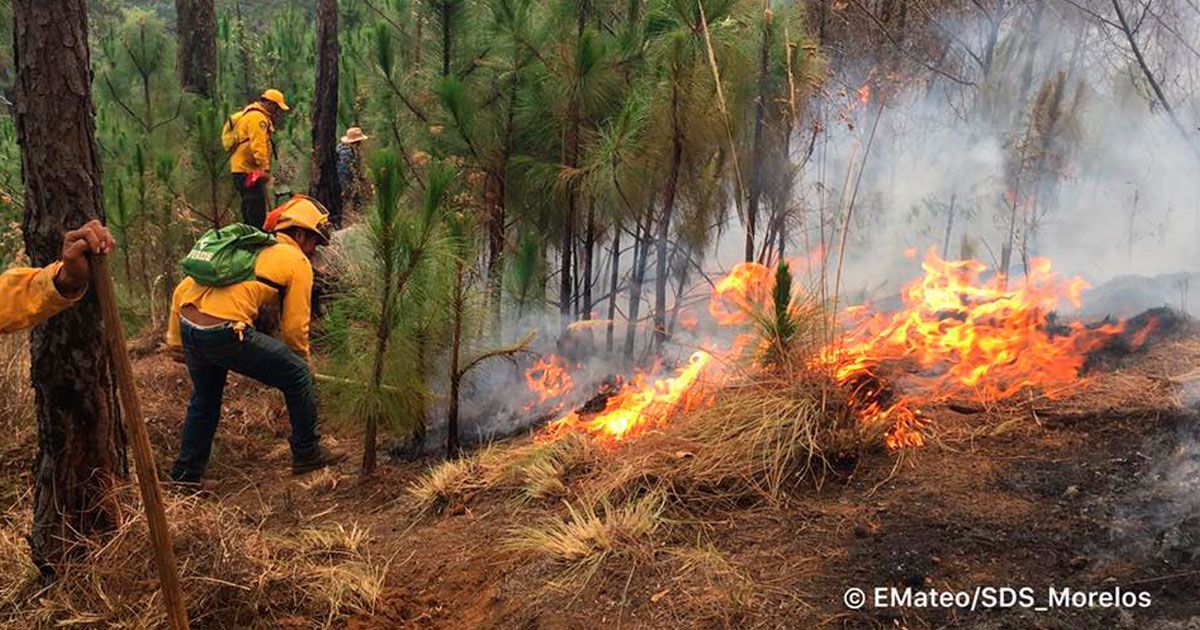 Continúan trabajos para liquidar incendio en paraje “La Canoa” en Cuernavaca