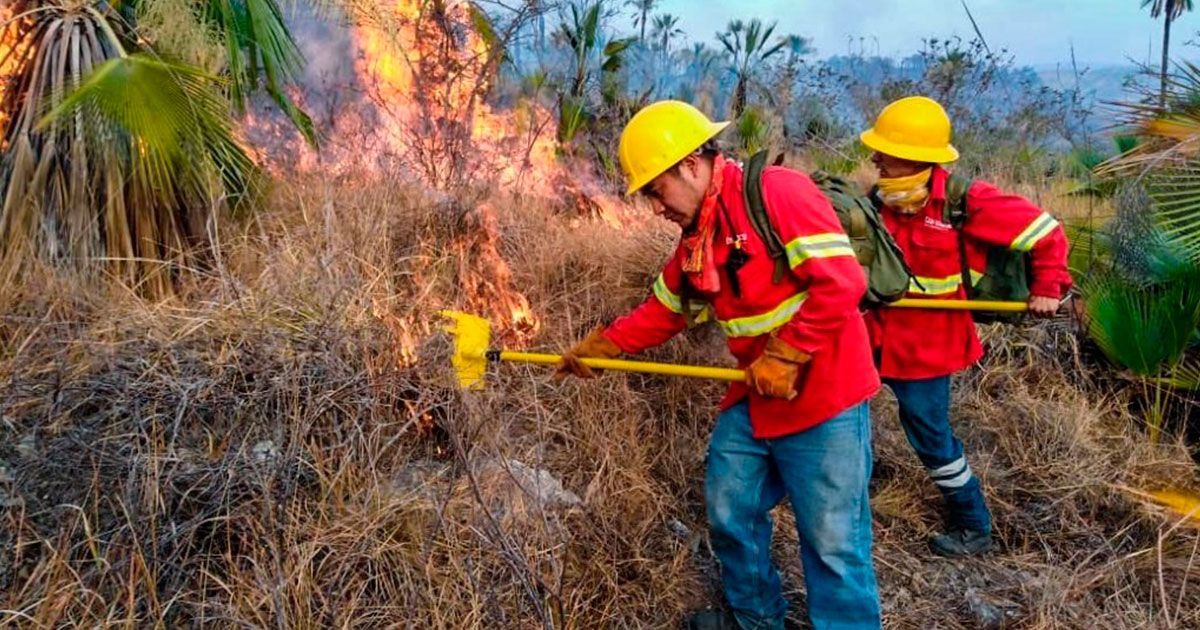 Oaxaca reporta incendios severos en el estado