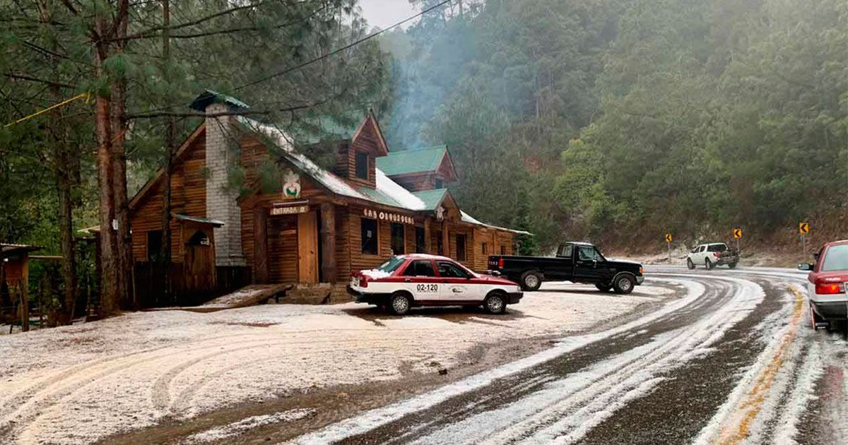 Nieve cubre la Sierra de Oaxaca