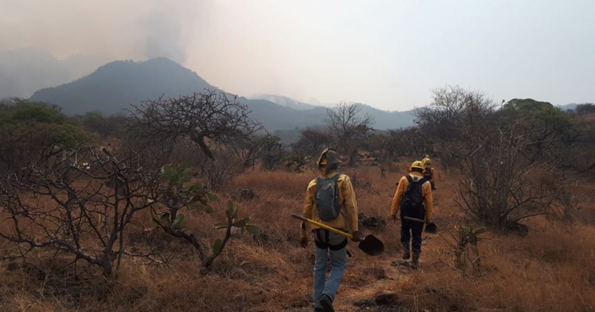 Combaten incendios en zonas limítrofes de Morelos