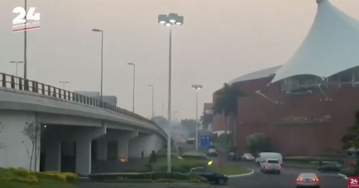 Al menos 139 incendios forestales en 2019