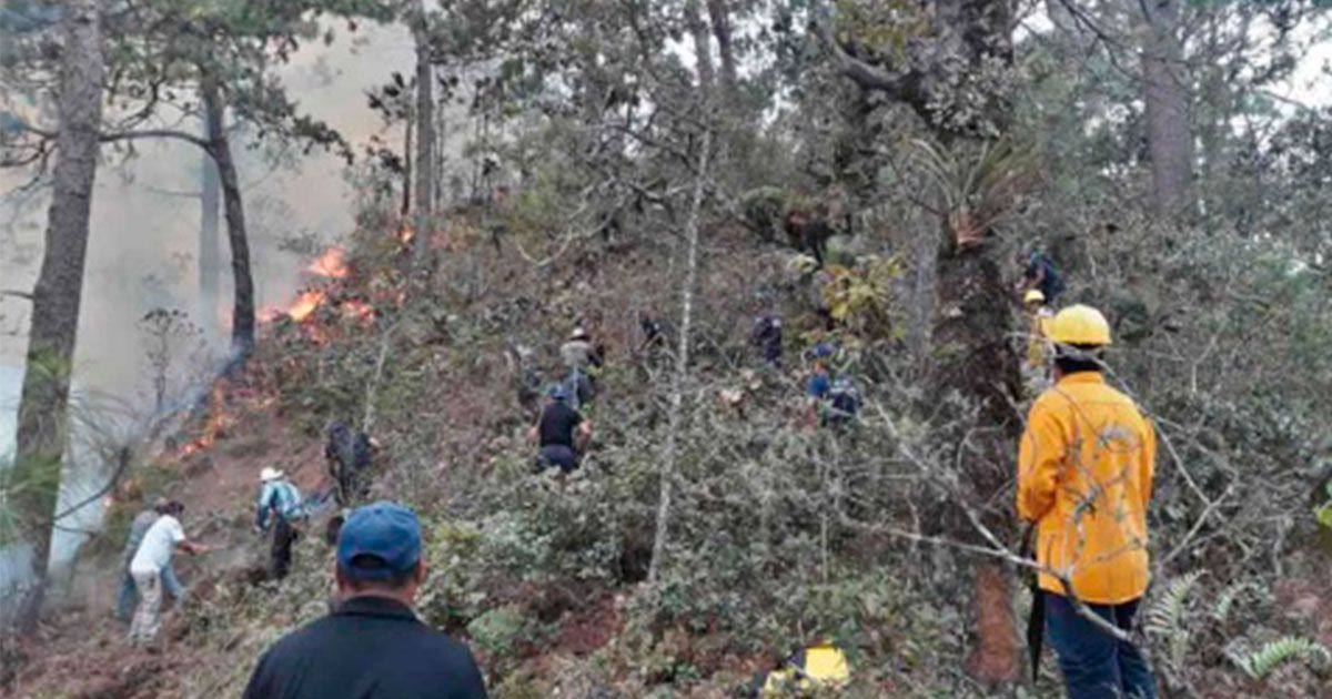 Chiapas se declara en emergencia tras incendios