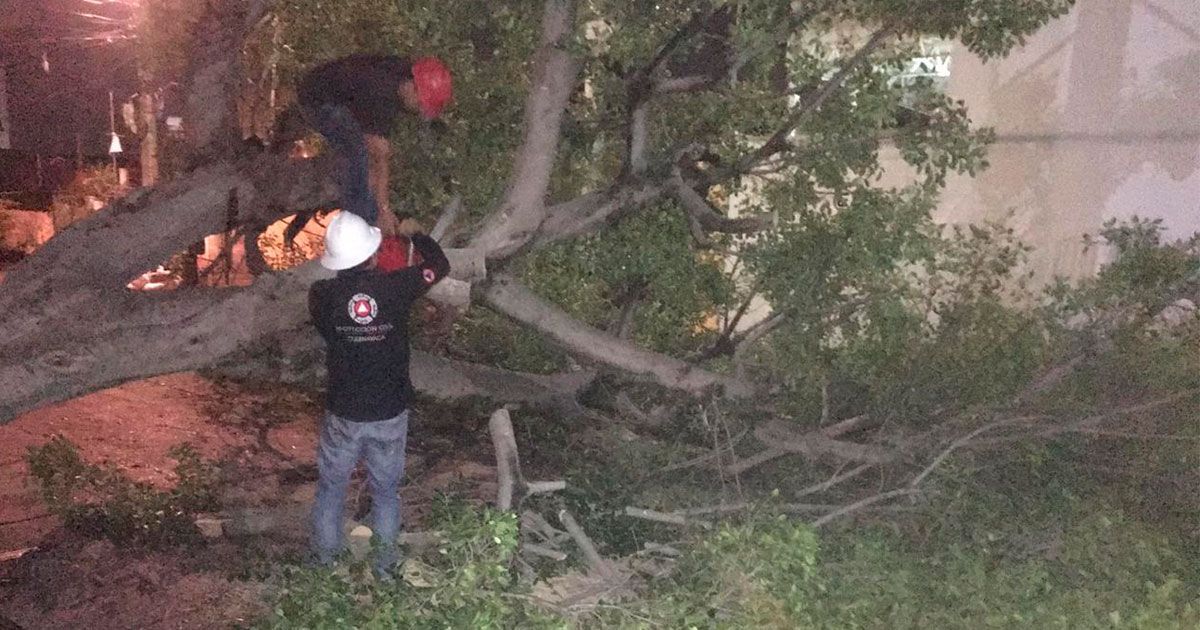 Deja lluvia afectaciones leves en Cuernavaca