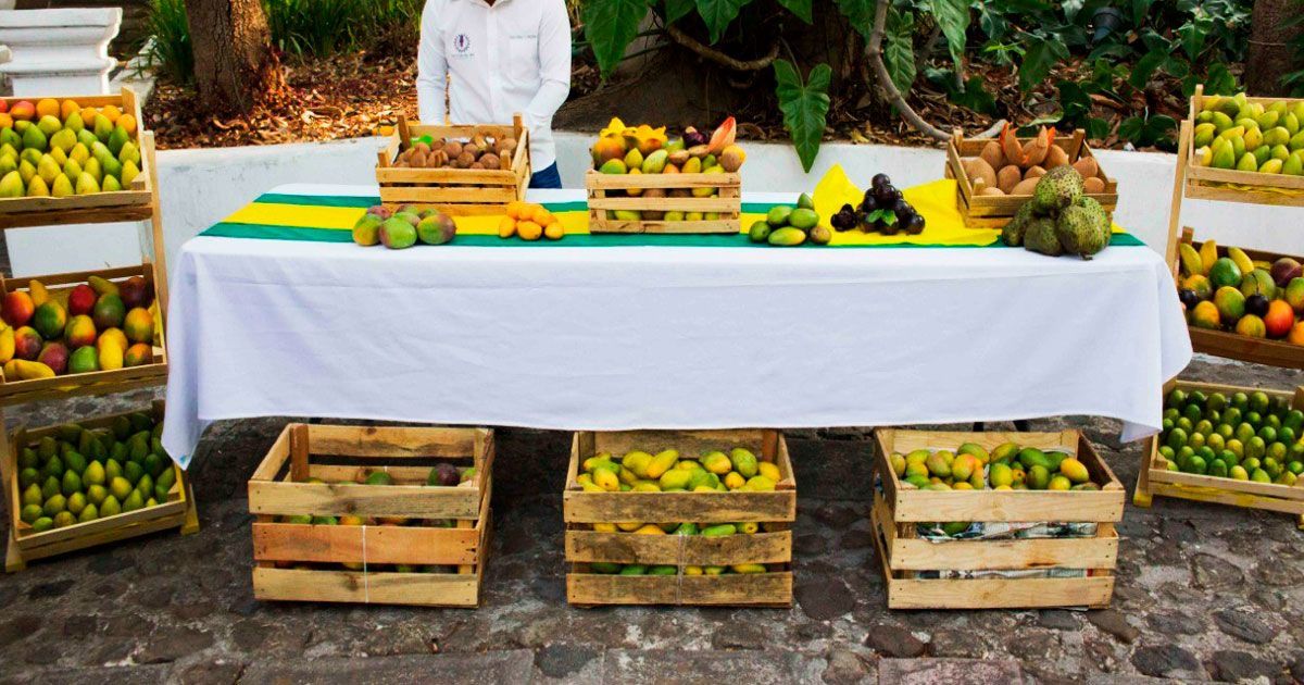Anuncian Feria del Mango en Coatlán del Río