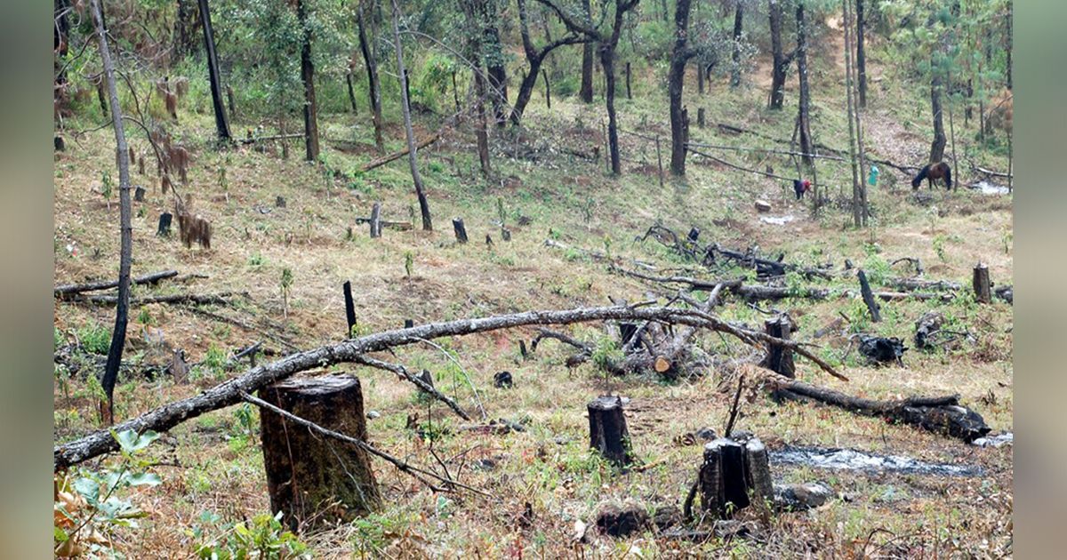 Morelos entre los estados con mayor pérdida de biodiversidad: CONABIO