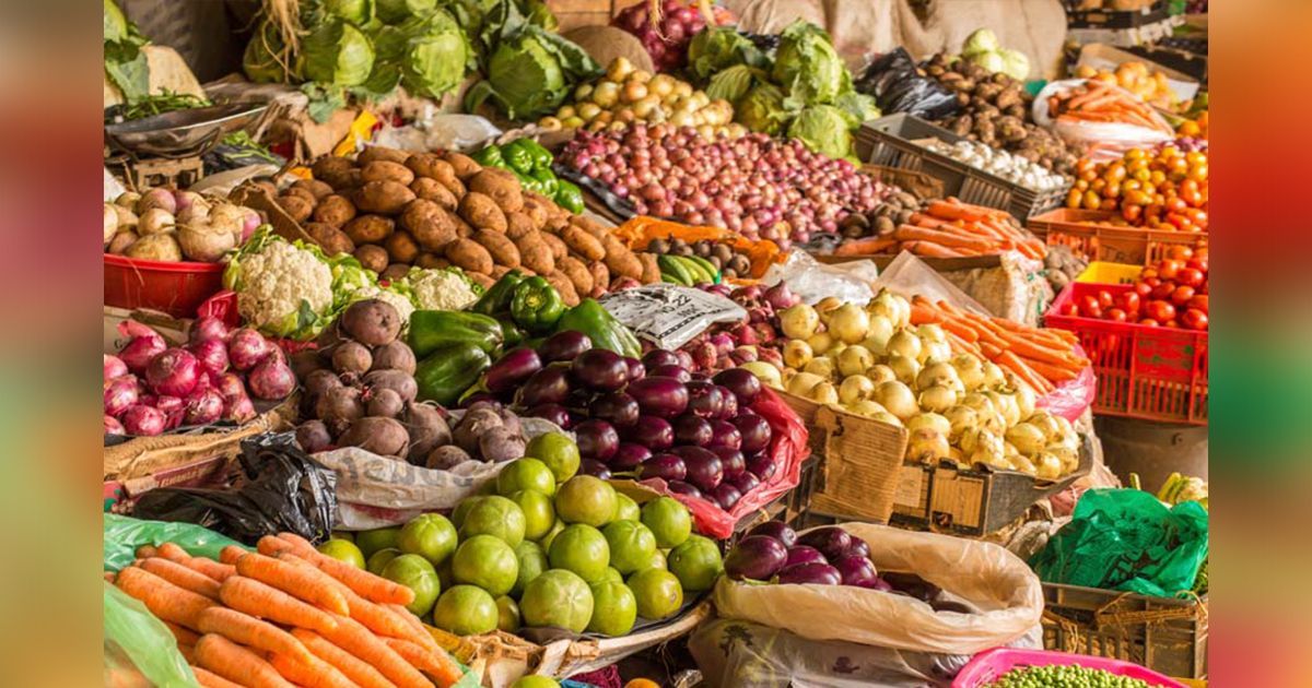 Tendrá el campo morelense mayor apoyo financiero