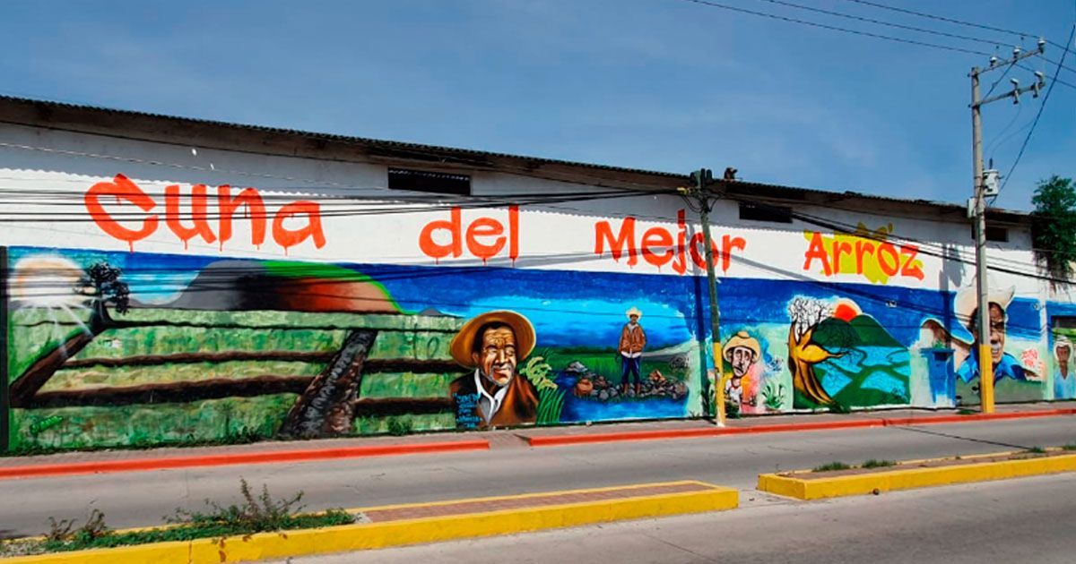 Requieren 4 mdp para cosecha de arroz en Jojutla