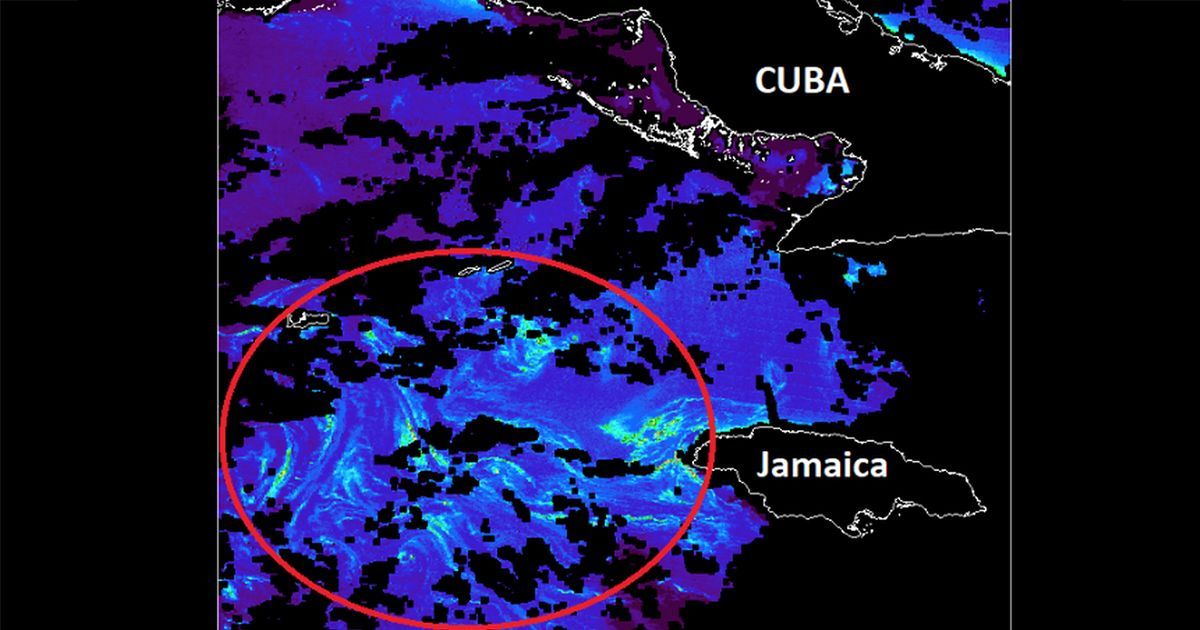 Una gran “isla” de sargazo llegará a México