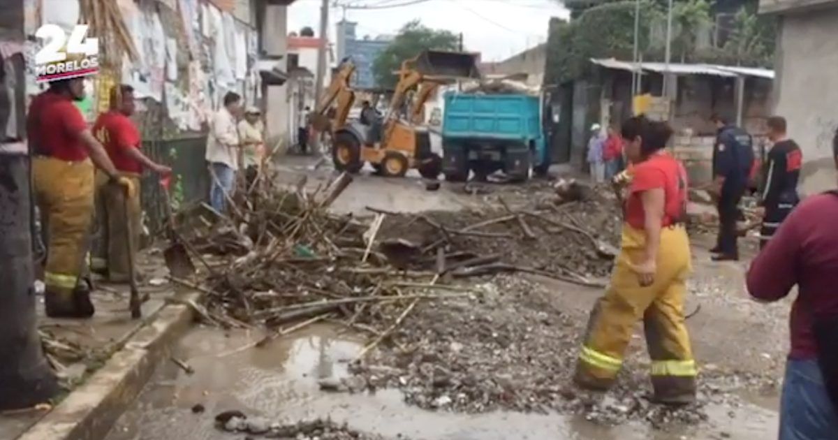 Caen 10 árboles en Cuernavaca tras primeras lluvias