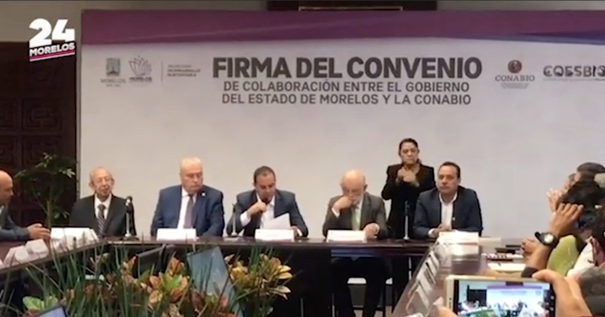 24 Morelos Resumen 28 de junio 2019