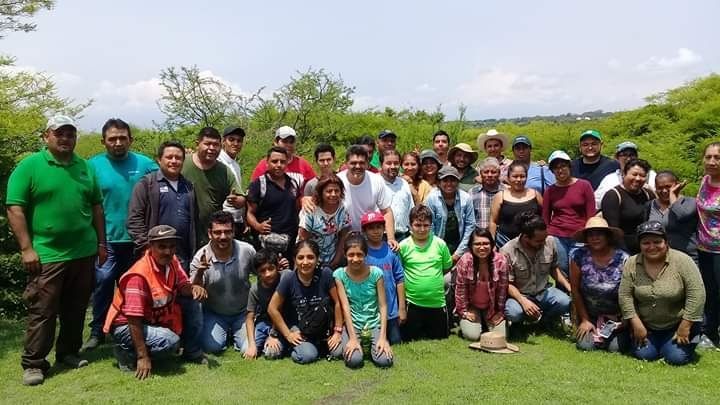 Realizan reforestación en el Cerro de la Tortuga