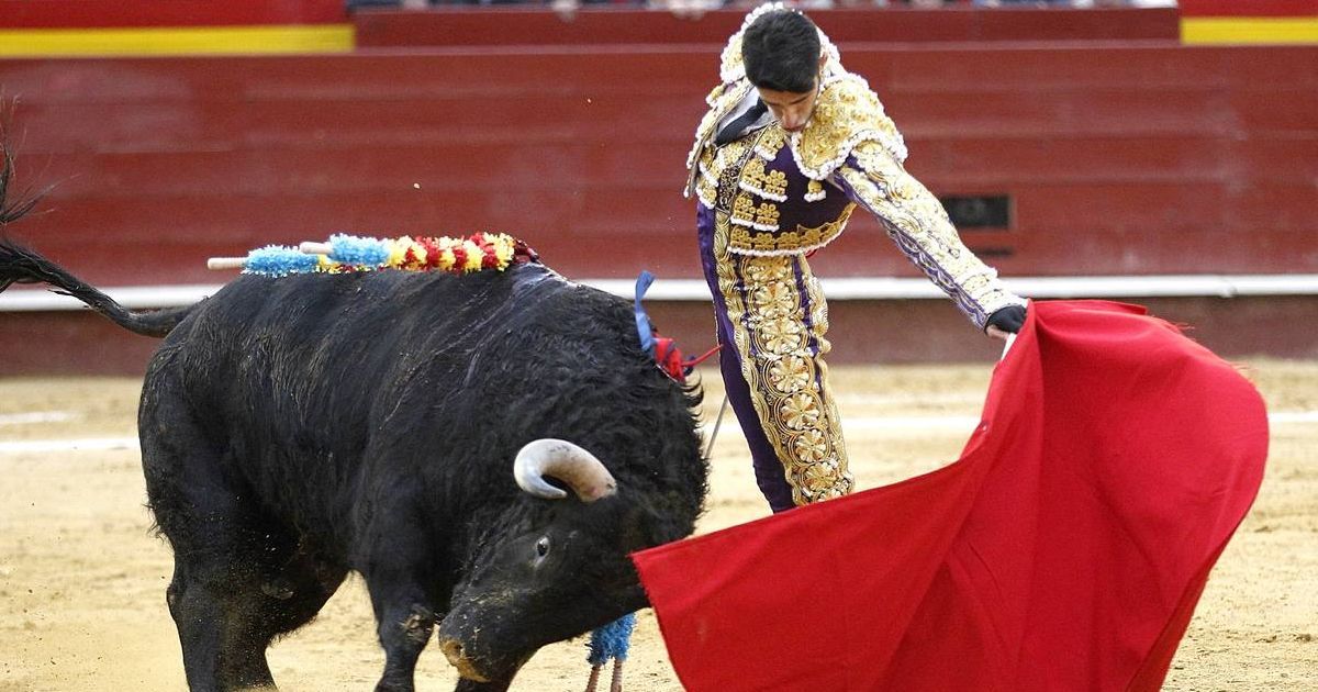 Prohíben corridas de toros y peleas de gallos en Quintana Roo