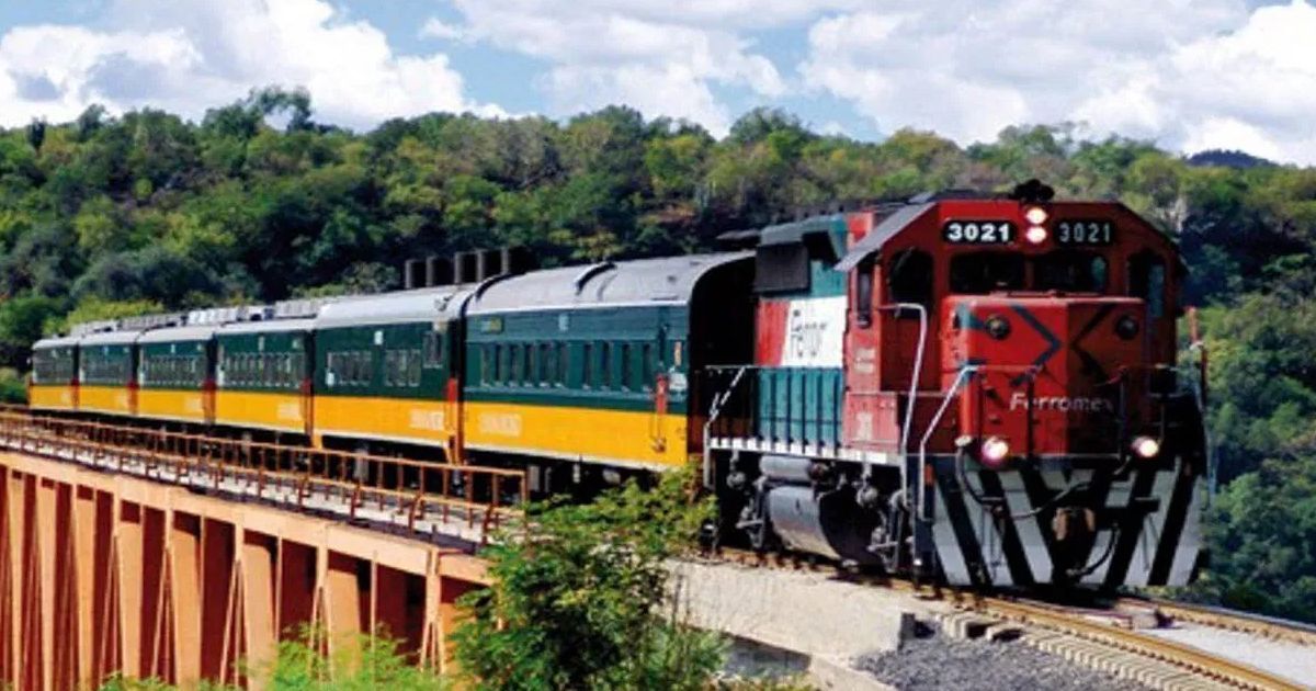 Aumenta robo y vandalismo a trenes