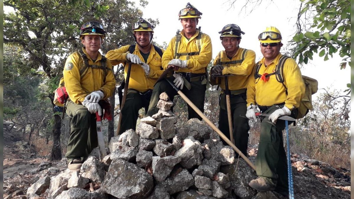 Celebran el Día Nacional del Combatiente Forestal