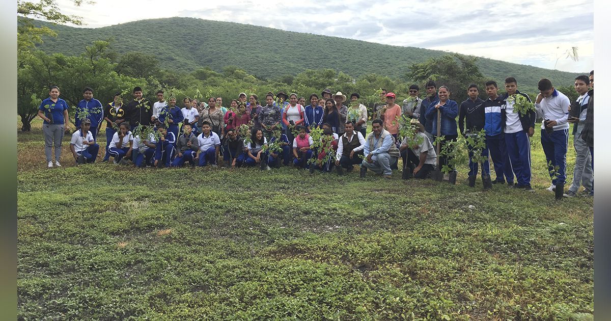 Inicia reforestación en la Sierra morelense
