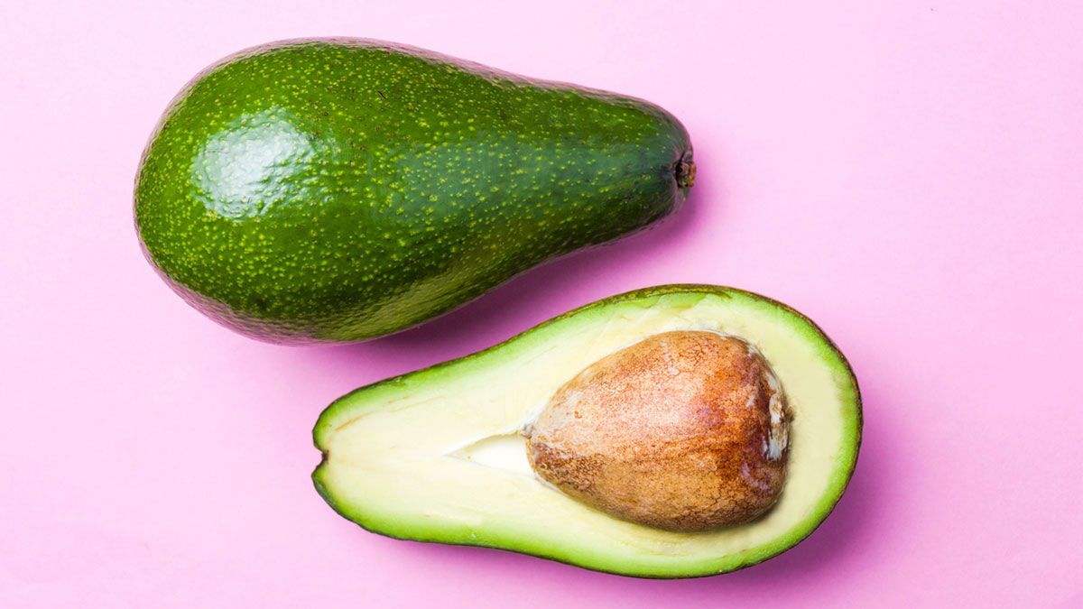 Aumenta exportación de aguacate mexicano a Estados Unidos