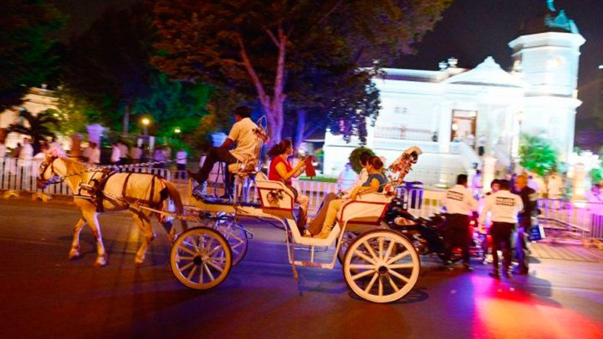 Yucatán va contra calandrias turísticas