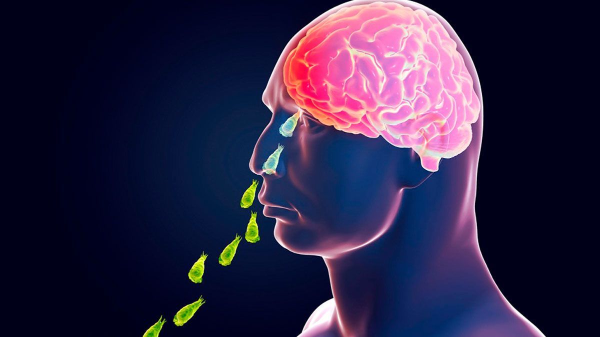 Visitó lago y se infectó de bacteria “comecerebros”