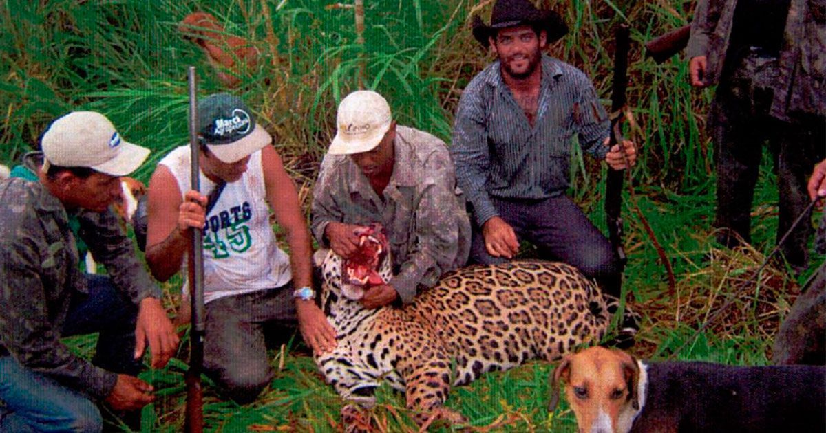 Van a juicio cazadores de jaguares en Brasil