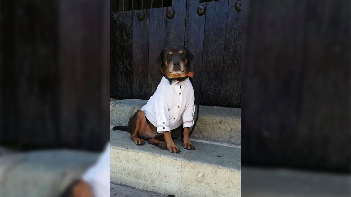 “Mazapán”, invitado especial a La Guelaguetza