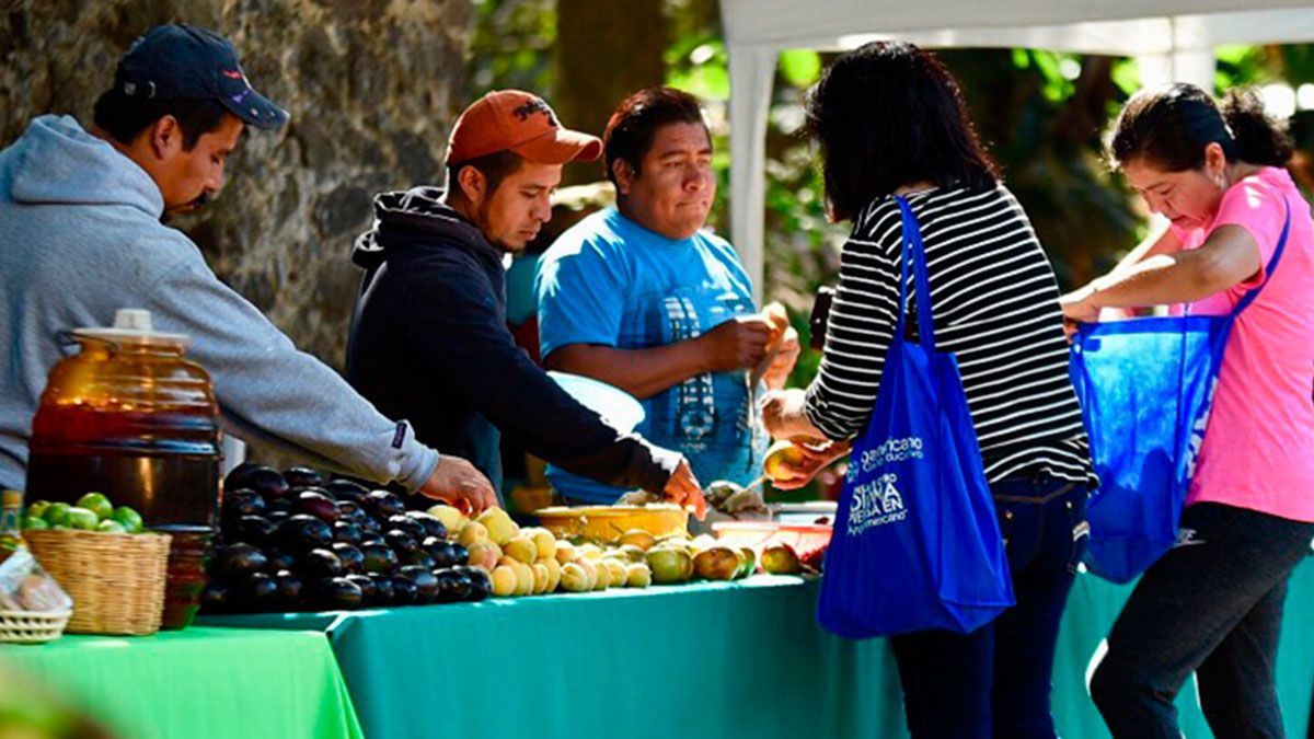 ¡Asiste el domingo al Mercado Verde!