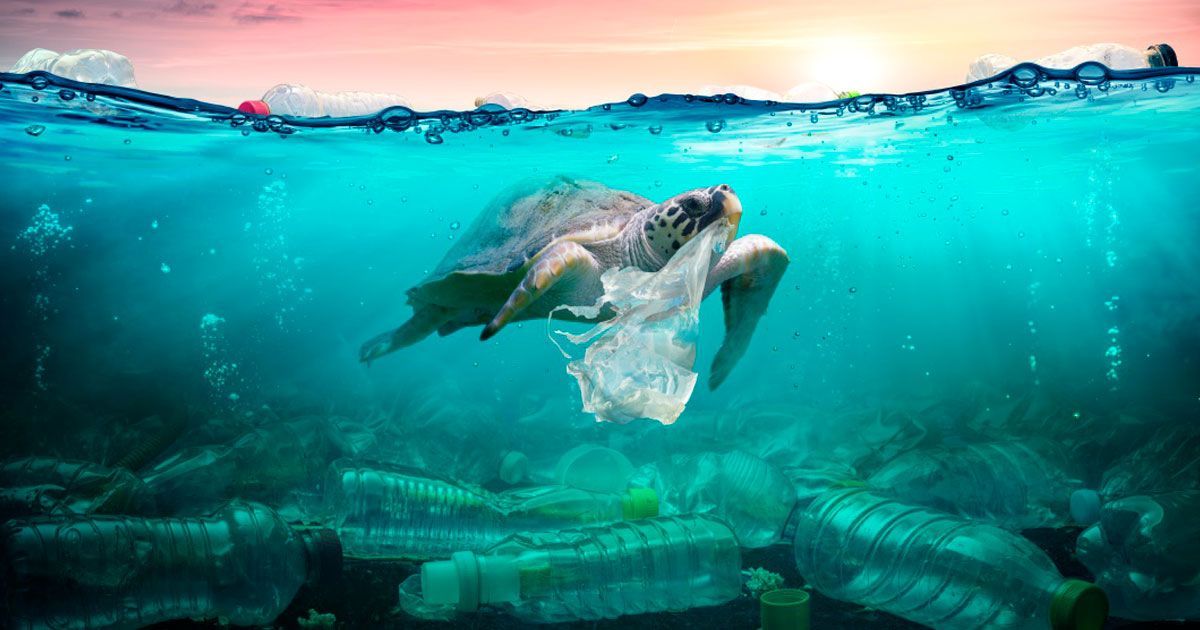 Cada año se van al mar hasta 13 millones de toneladas de plástico
