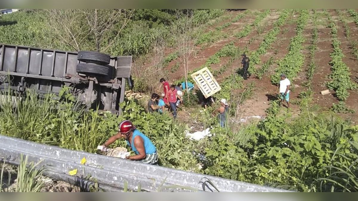 24 Morelos Rapiña de leche