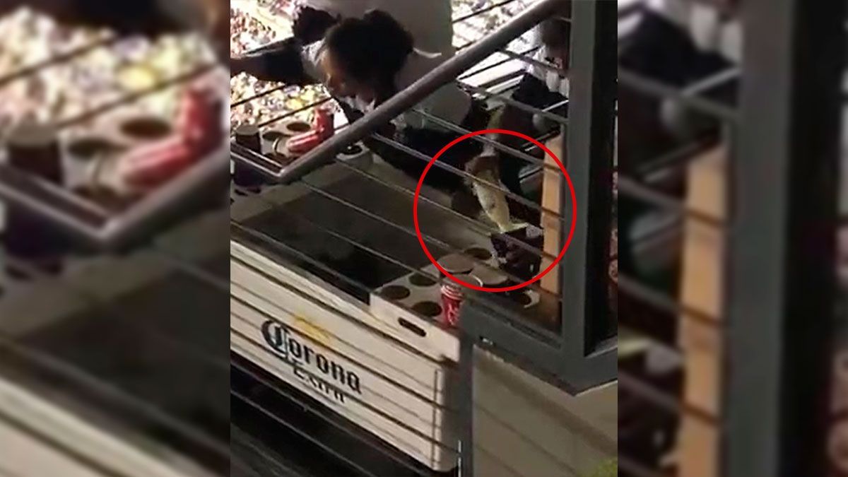 Rebajan cervezas con agua en el Azteca