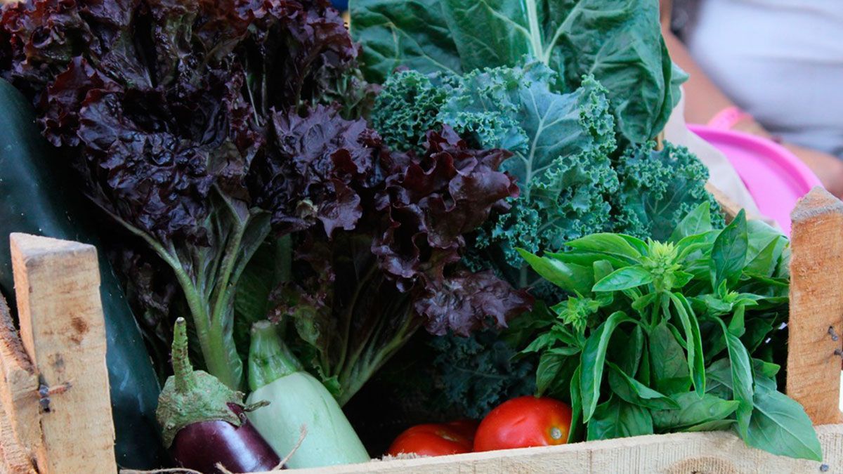 ¡Visita el Mercado Verde!