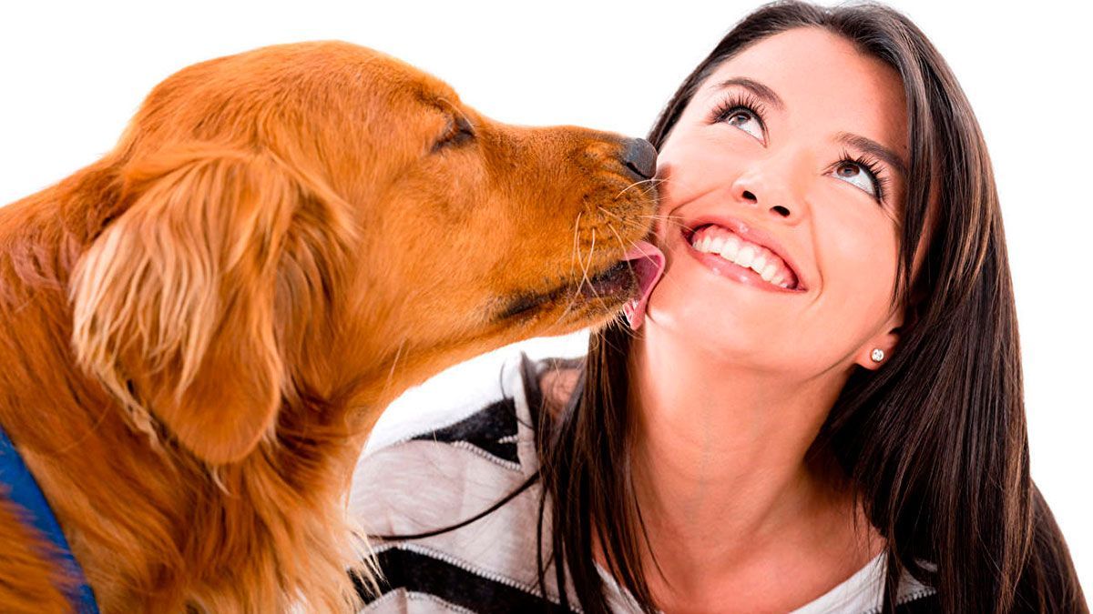 Perrito callejero salta de felicidad cuando le dan de comer