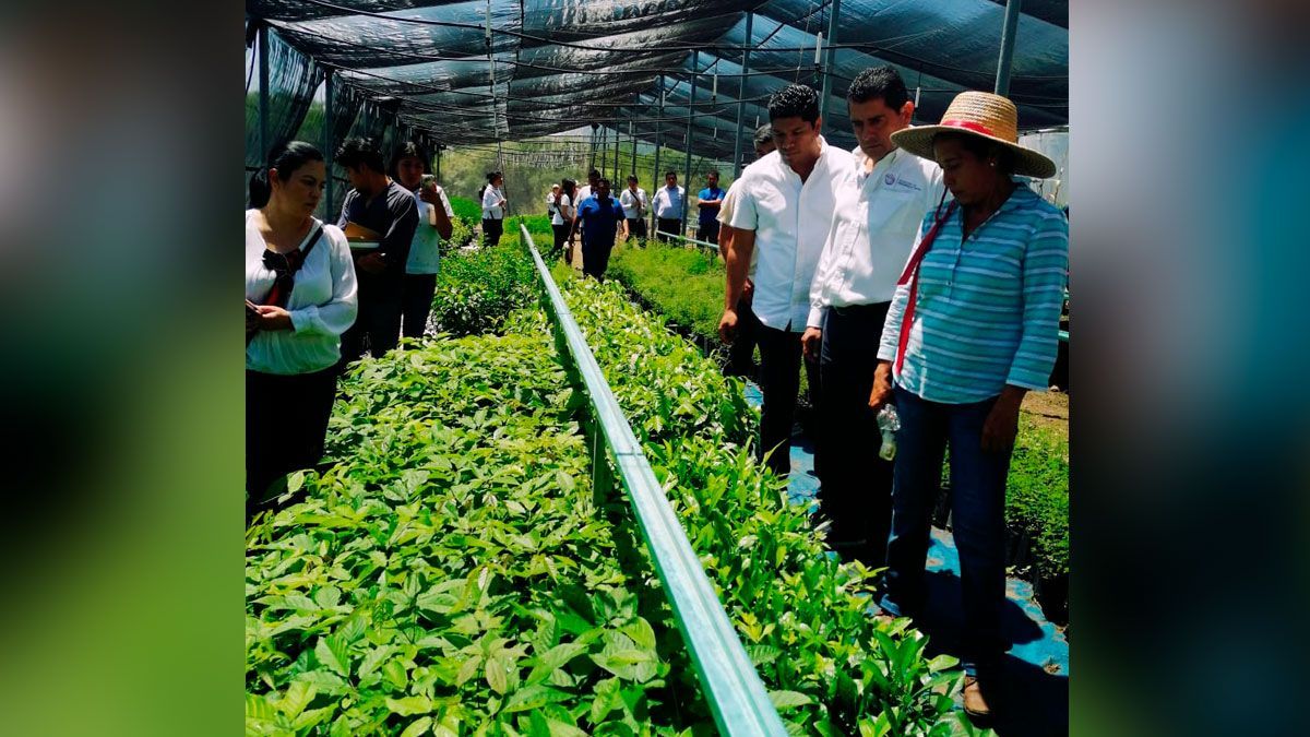 Inauguran vivero Ejidal en La Tigra, Puente de Ixtla