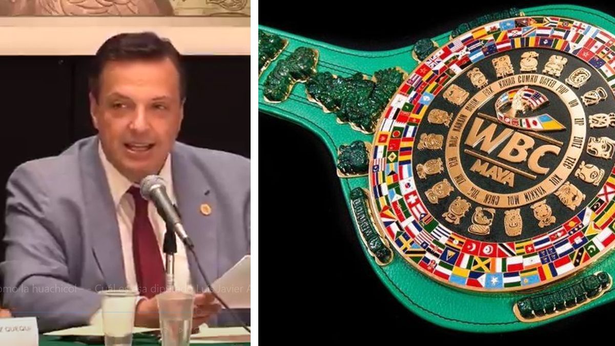 24 Morelos Diputado Morena Cinturón Maya