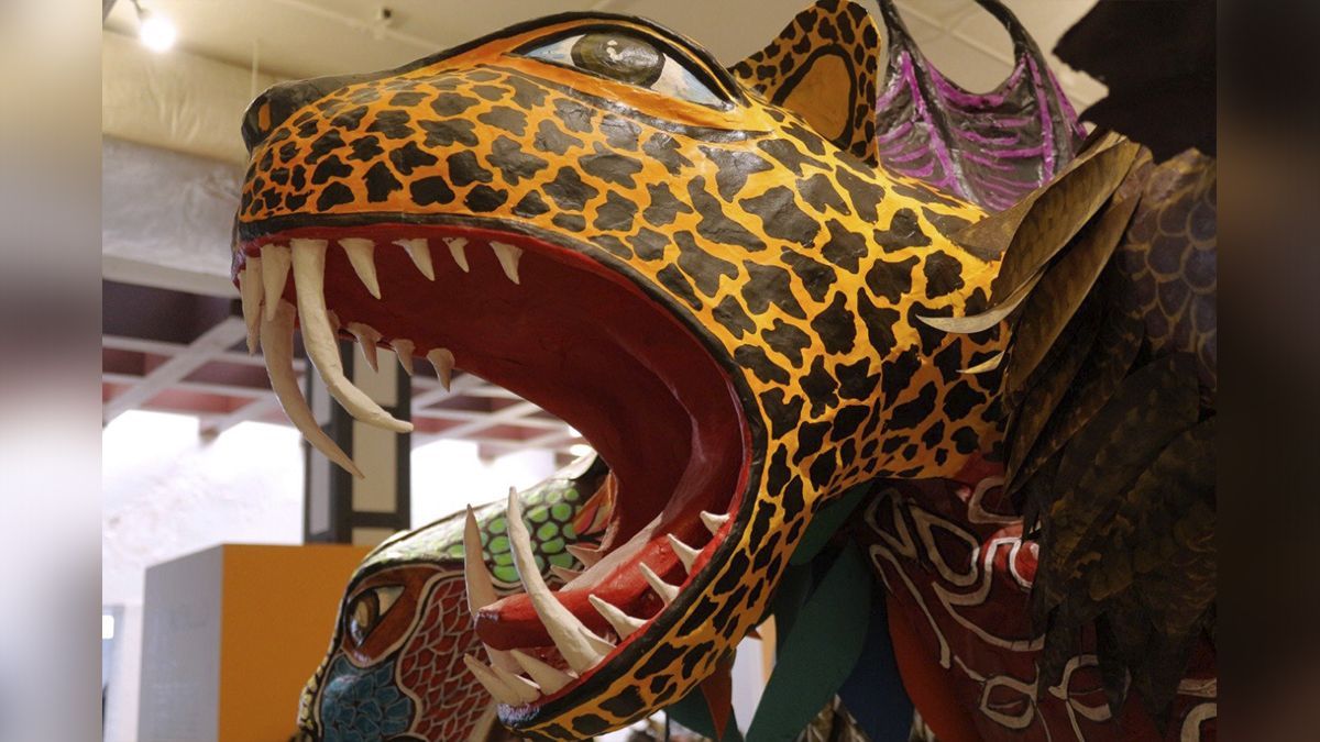 24 Morelos Jaguar