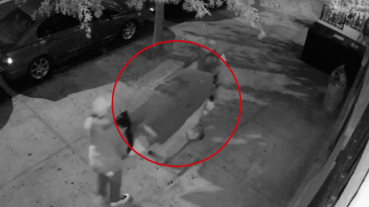 Hombres cargan cadáver en alfombra