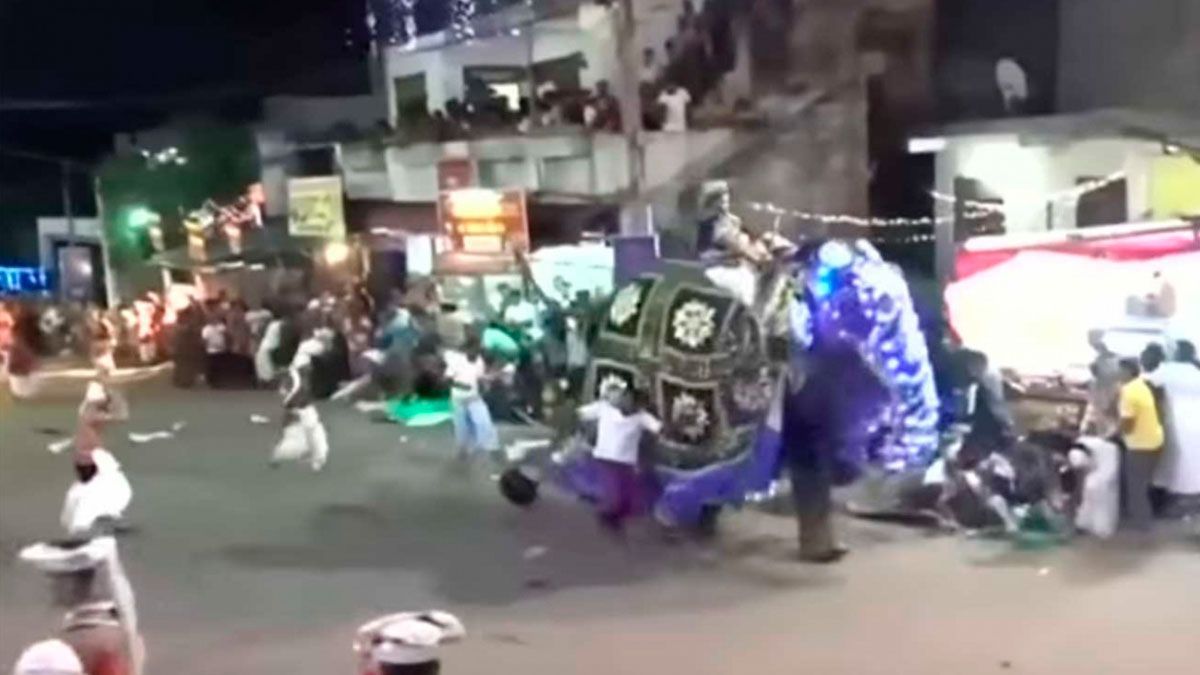 Elefante pierde el control y deja 18 heridos