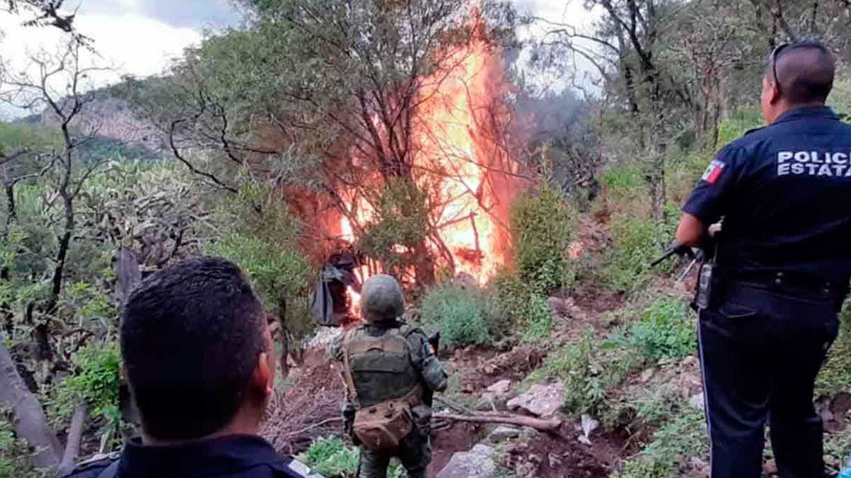 Queman cargamento de marihuana en Aguascalientes