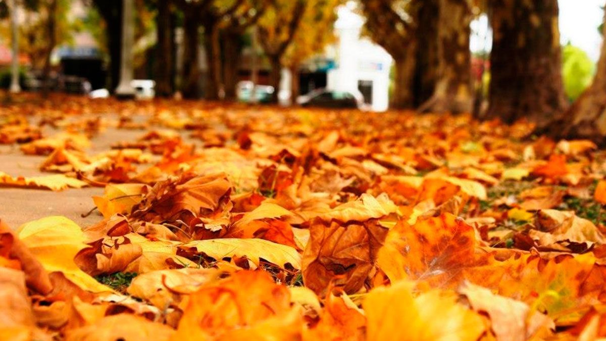 ¡Bienvenido Otoño!