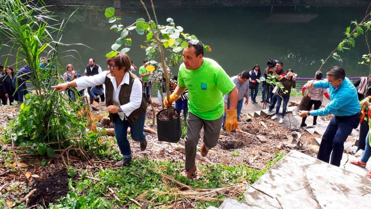 Reforestan con árboles nativos el Parque Chapultepec de Cuernavaca