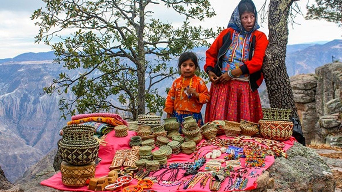 “Sembrando Vida” llega a la sierra Tarahumara