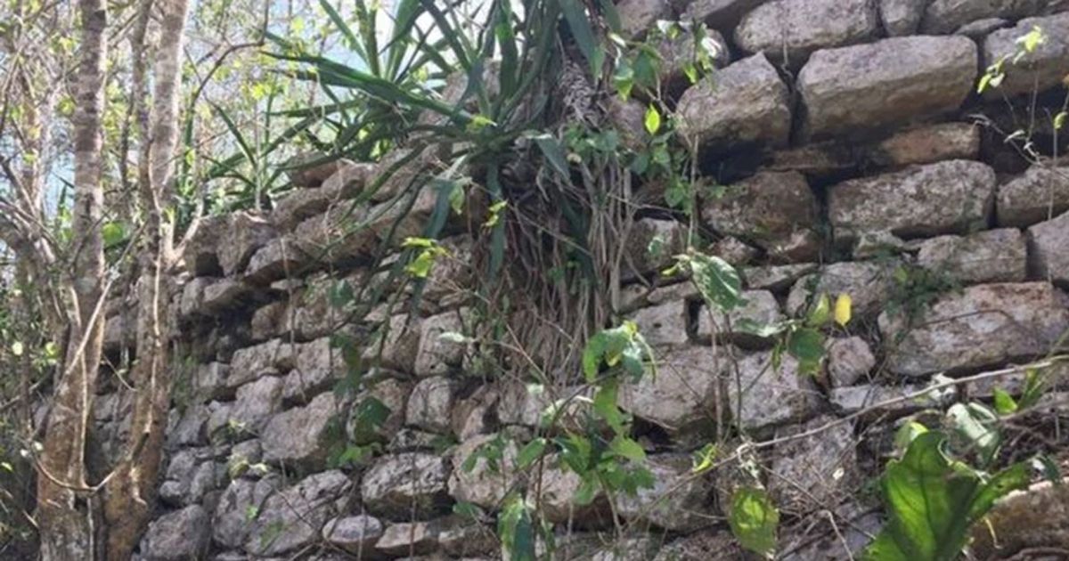 Localizan ruinas arqueológicas en Yucatán