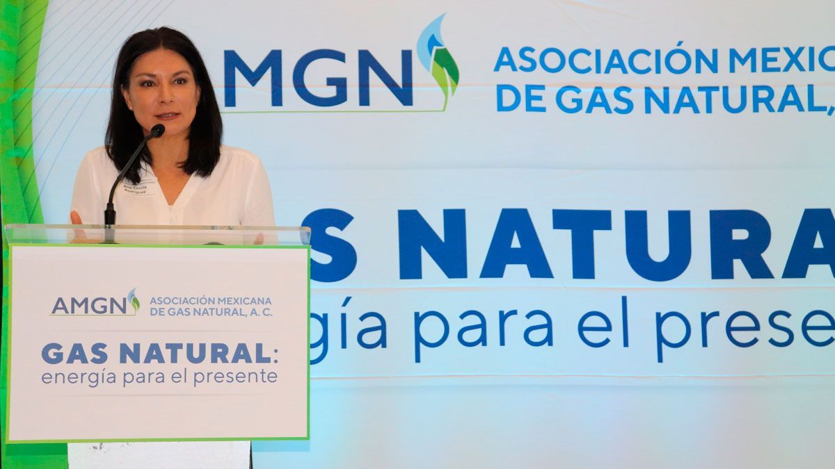 “Energías limpias para el desarrollo de Morelos”: SDEyT