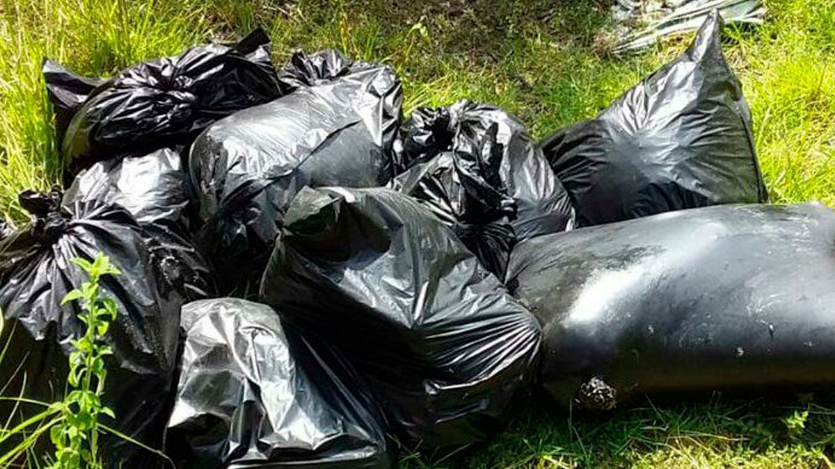 Localizan 13 bolsas con restos humanos en Jalisco