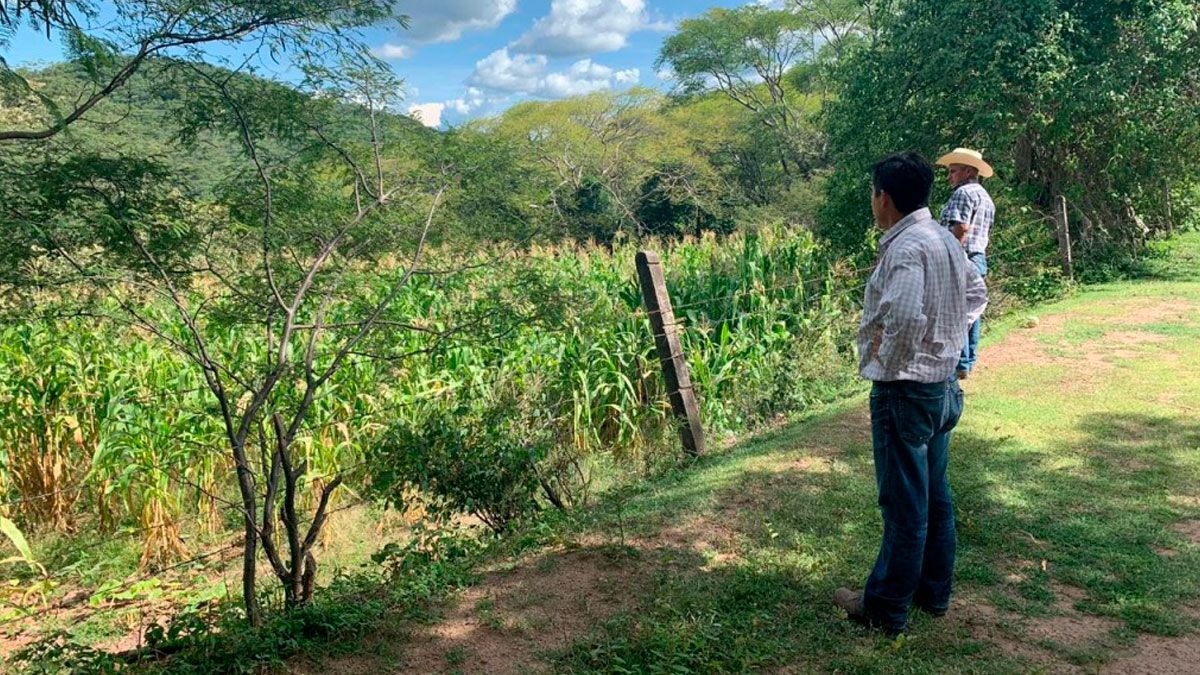 24 Morelos Campo