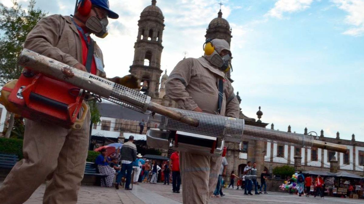 Jalisco, primer lugar nacional en muerte por dengue